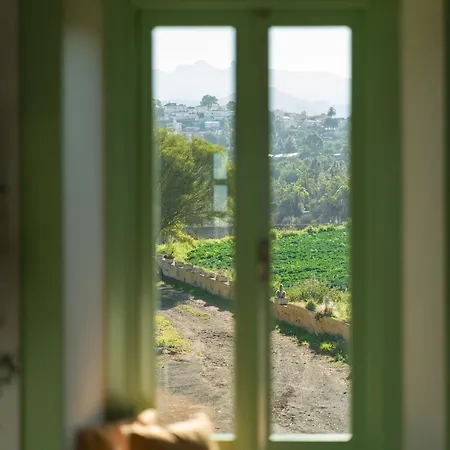 Daire Olivos Santa Brígida