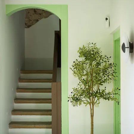Daire Olivos